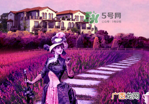 八月份还有薰衣草吗？8月份还有薰衣草吗？