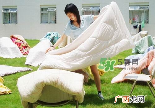 三伏天能晒被子吗？三伏天晒被子好吗？