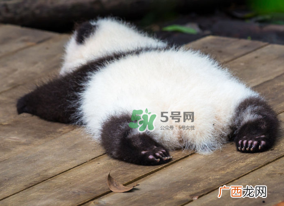 三伏天可以睡地上吗？三伏天可以睡地板吗？