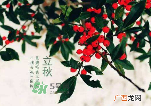 立秋为什么在处暑前？为什么立秋早过处暑？