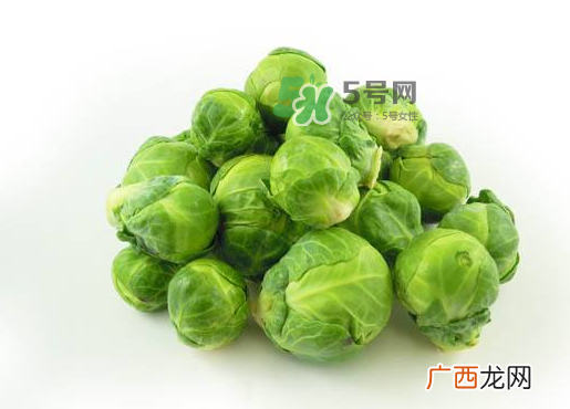 立秋可以种甘蓝吗？九月份能种甘蓝吗？