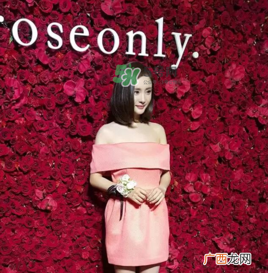 roseonly是哪里的品牌_什么牌子_什么材质