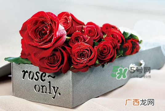 roseonly永生花可以保存多久？roseonly永生花保养