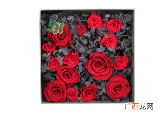 roseonly永生花可以保存多久？roseonly永生花保养