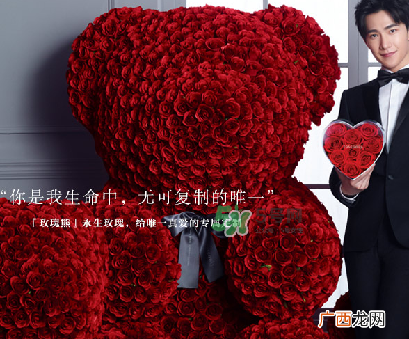 玫瑰熊制作方法 roseonly玫瑰熊制作方法