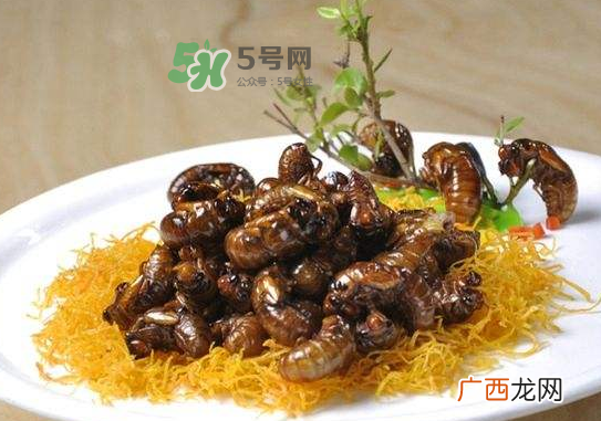 立秋后的金蝉能吃吗？立秋后还有金蝉吗？