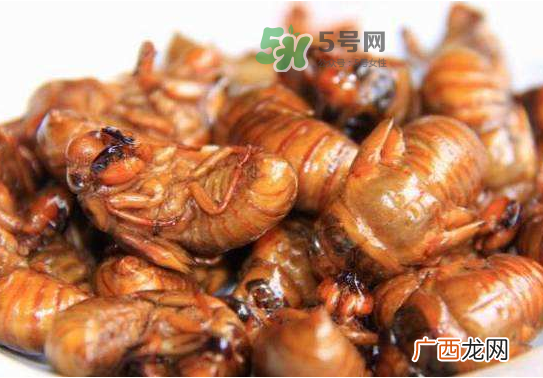 立秋后的知了还能吃吗？立秋还有知了猴吗？