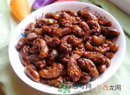 八月份还有知了猴吗？知了几月份就没有了？