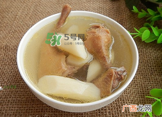 三伏天能吃鸽子吗？三伏天能喝鸽子汤吗？