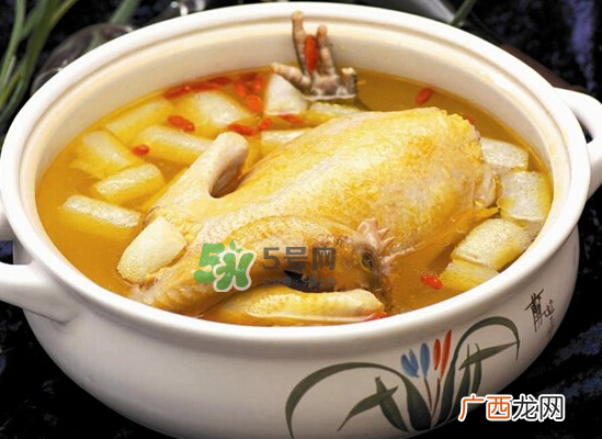 三伏天可以喝鸡汤吗_三伏天喝鸡汤好吗_三伏天喝鸡汤的好处
