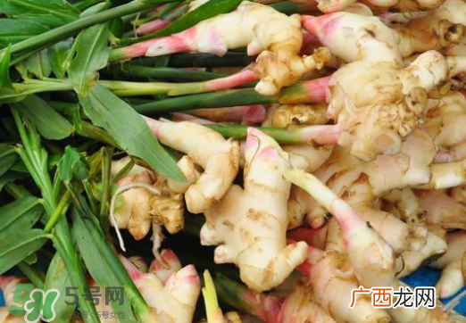 7月份可以种生姜吗？生姜几月份种植？