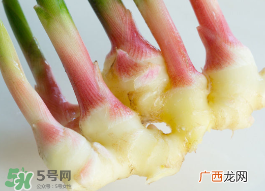 7月份可以种生姜吗？生姜几月份种植？