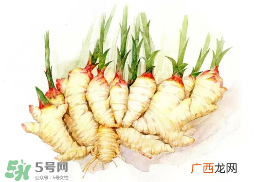 7月份可以种生姜吗？生姜几月份种植？