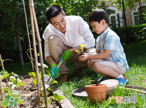入伏种什么菜？入伏适合种哪些蔬菜？