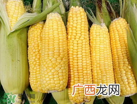 7月份可以种玉米吗？7月份种什么玉米？