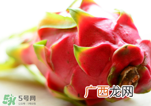 七月份可以种火龙果吗？火龙果什么时候种植？