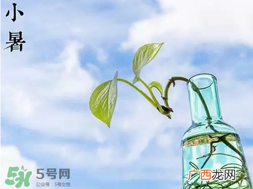 小暑是头伏吗？小暑是初伏吗？