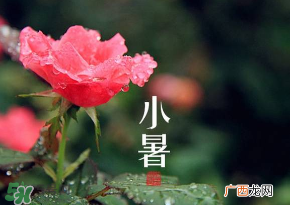 小暑是入伏吗？小暑是不是入伏？