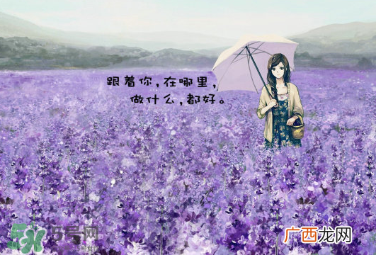 七月份还有薰衣草吗？7月份还有薰衣草吗？