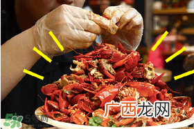 七月份还有小龙虾吗？七月份可以养小龙虾吗？
