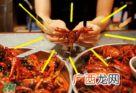 七月份还有小龙虾吗？七月份可以养小龙虾吗？