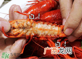 七月份还有小龙虾吗？七月份可以养小龙虾吗？