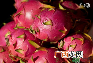 6月份有什么水果？6月份有哪些水果？