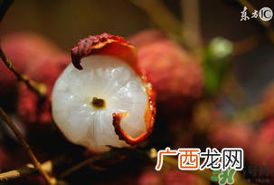 6月份有什么水果？6月份有哪些水果？