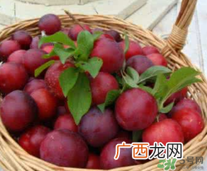 6月份有什么水果？6月份有哪些水果？