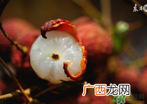 6月份还有樱桃吗？樱桃6月份还有吗？