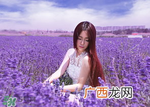 六月份还有薰衣草吗？6月份哪里有薰衣草？