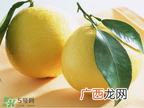 六月份还有柚子吗?六月份哪里能买到柚子?