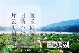 夏至是入伏吗？夏至后多久入伏？