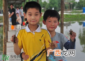 钓龙虾用什么时间最好?钓龙虾早上好还是晚上好?