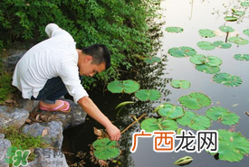 钓黄鳝用什么饵料？用什么钓黄鳝最好？