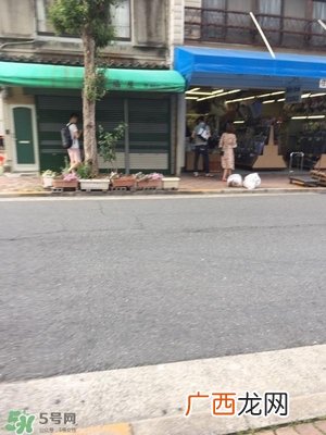 日本关西自由行6天攻略 情景再现日本关西有什么好玩的