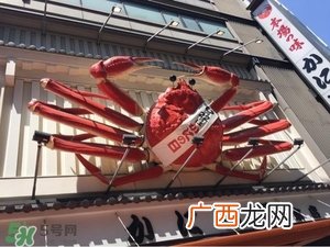 日本关西自由行6天攻略 情景再现日本关西有什么好玩的