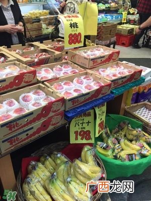 日本关西自由行6天攻略 情景再现日本关西有什么好玩的