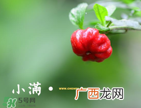 ?小满可以回娘家吗？?小满能回娘家吗？