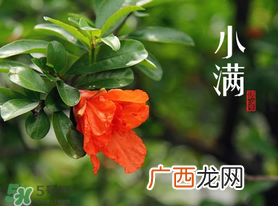 ?小满可以回娘家吗？?小满能回娘家吗？