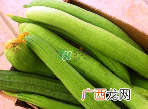 7月份吃什么蔬菜？七月份吃什么蔬菜？