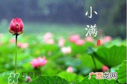 节气小满大满是什么意思？24节气为什么没有大满