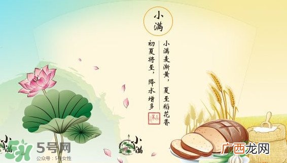 节气小满大满是什么意思？24节气为什么没有大满