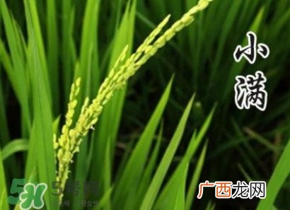 节气小满大满是什么意思？24节气为什么没有大满