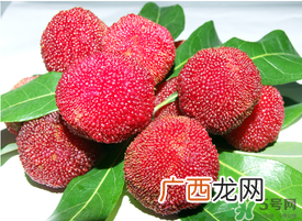 五月份有杨梅吗？五月份的杨梅能吃吗？