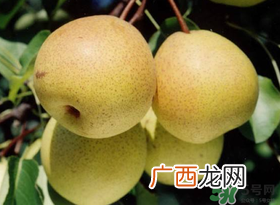 五月份有梨吗？农历5月的梨能吃吗？