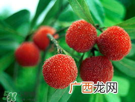 小满吃什么水果？小满吃哪些水果好？