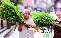 端午节前后出没的毒虫有哪些？端午节前后如何预防毒虫？