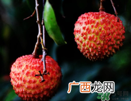 五月份有荔枝吗?5月份有荔枝吗?