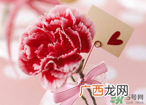 康乃馨可以放卧室吗？康乃馨能放在卧室吗？